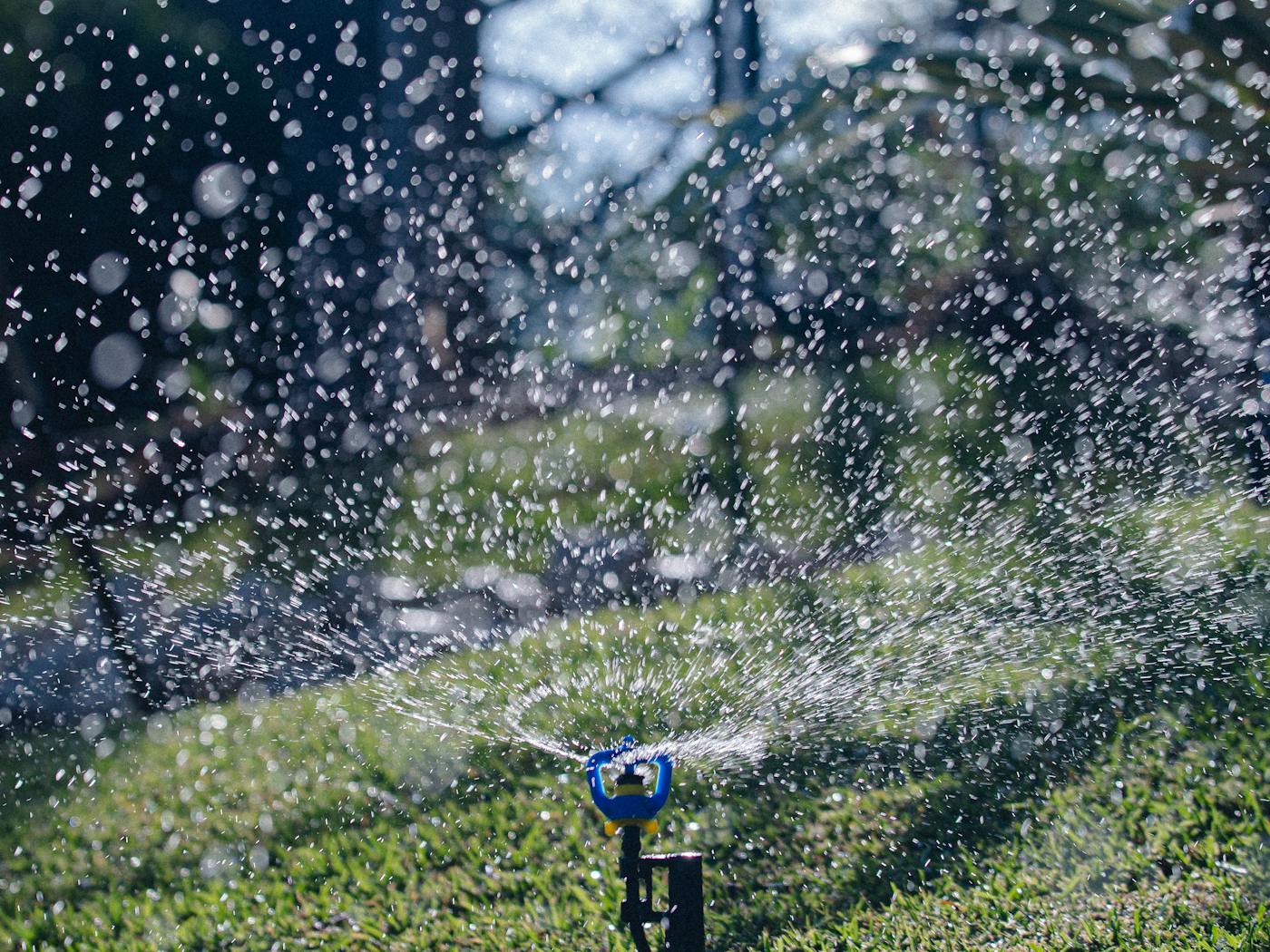 Pop-up sprinkler arc watering a green Bermuda lawn at a Waddell-area property.